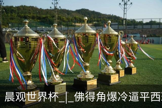 晨观世界杯 | 佛得角爆冷逼平西班牙 伊朗即将登场